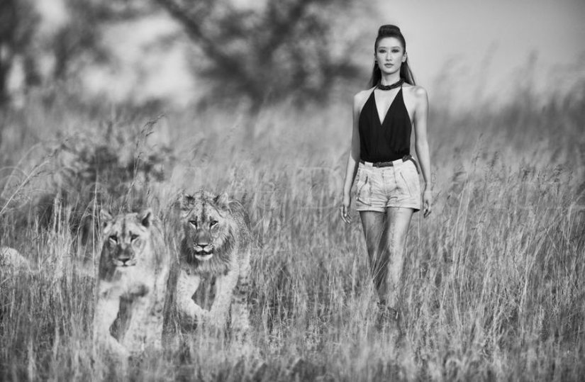 Amazing portraits of Asian models and celebrities with wild animals