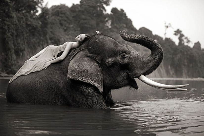 Amazing portraits of Asian models and celebrities with wild animals