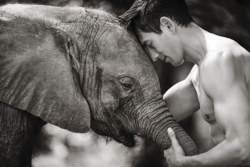 Amazing portraits of Asian models and celebrities with wild animals