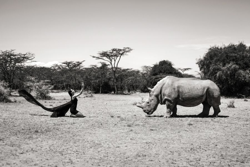 Amazing portraits of Asian models and celebrities with wild animals