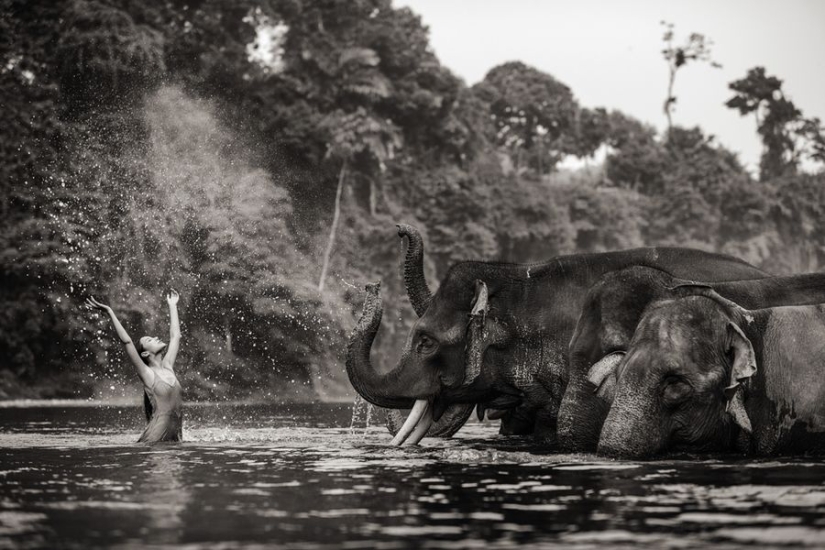 Amazing portraits of Asian models and celebrities with wild animals