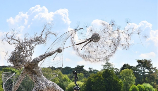 Amazing steel wire sculptures