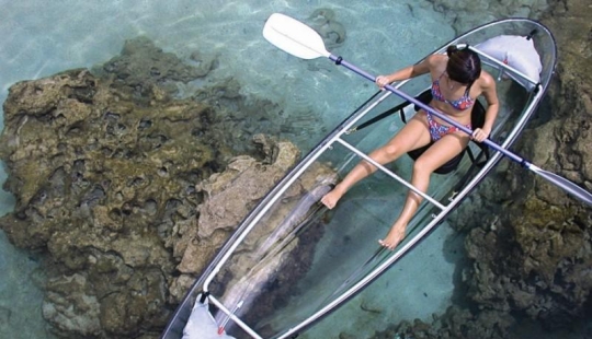 Amazing transparent boats