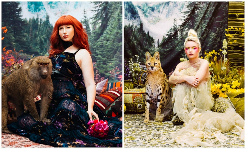 Amazingly beautiful photo shoot with animals rescued on the black market