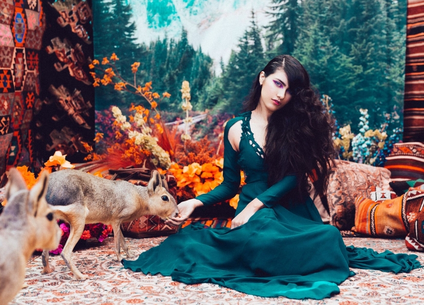 Amazingly beautiful photo shoot with animals rescued on the black market