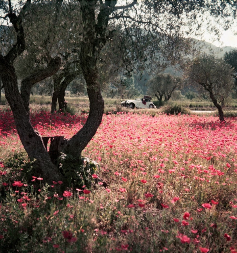 Amazingly vivid retro photographs of Jacques-Henri Lartigue, taken as if yesterday