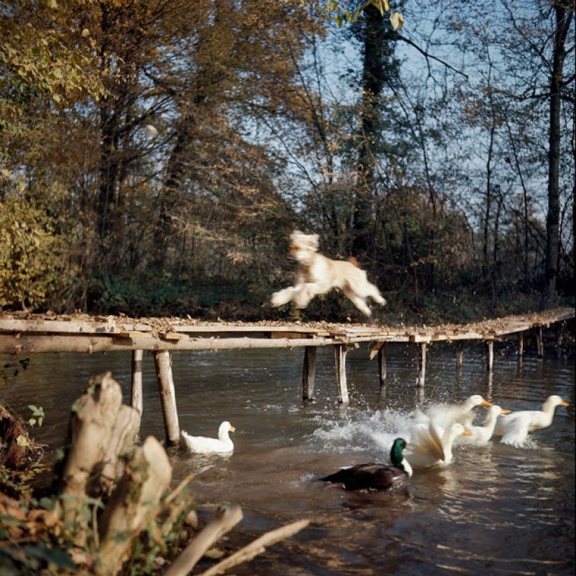 Amazingly vivid retro photographs of Jacques-Henri Lartigue, taken as if yesterday