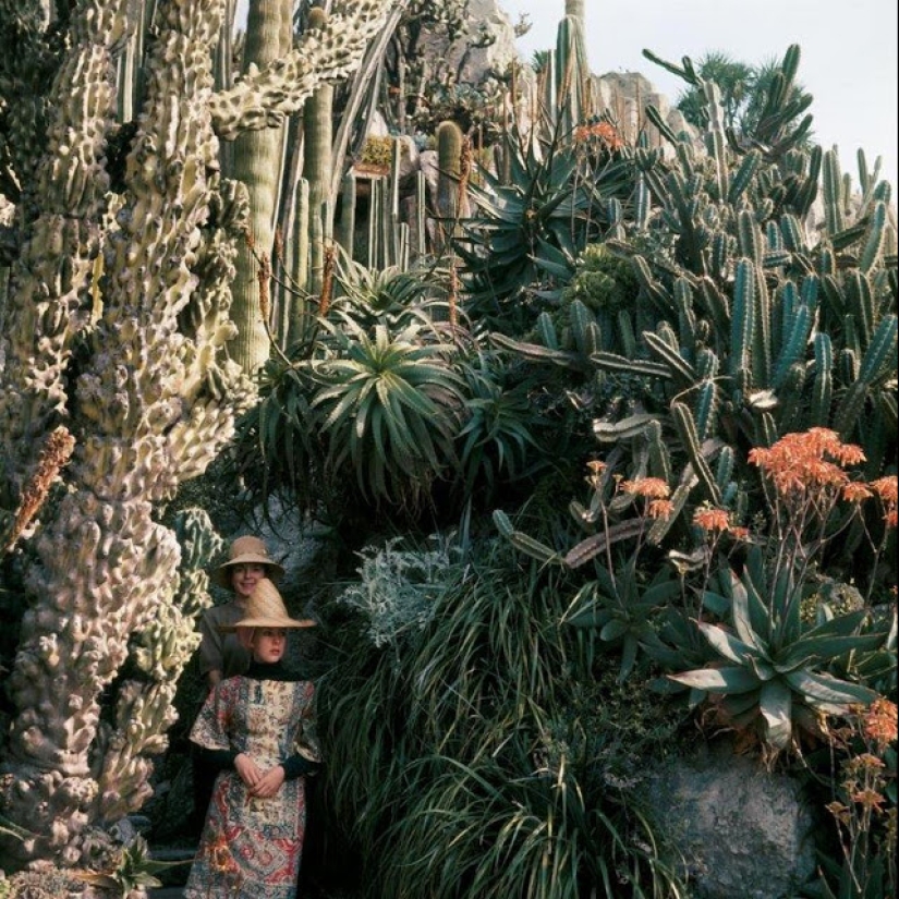 Amazingly vivid retro photographs of Jacques-Henri Lartigue, taken as if yesterday