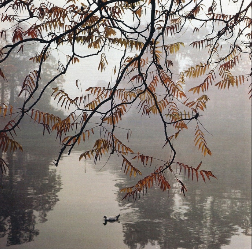 Amazingly vivid retro photographs of Jacques-Henri Lartigue, taken as if yesterday