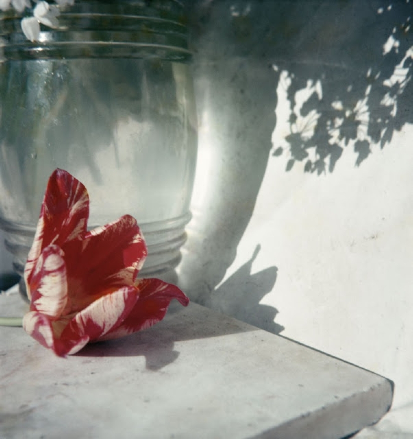 Amazingly vivid retro photographs of Jacques-Henri Lartigue, taken as if yesterday