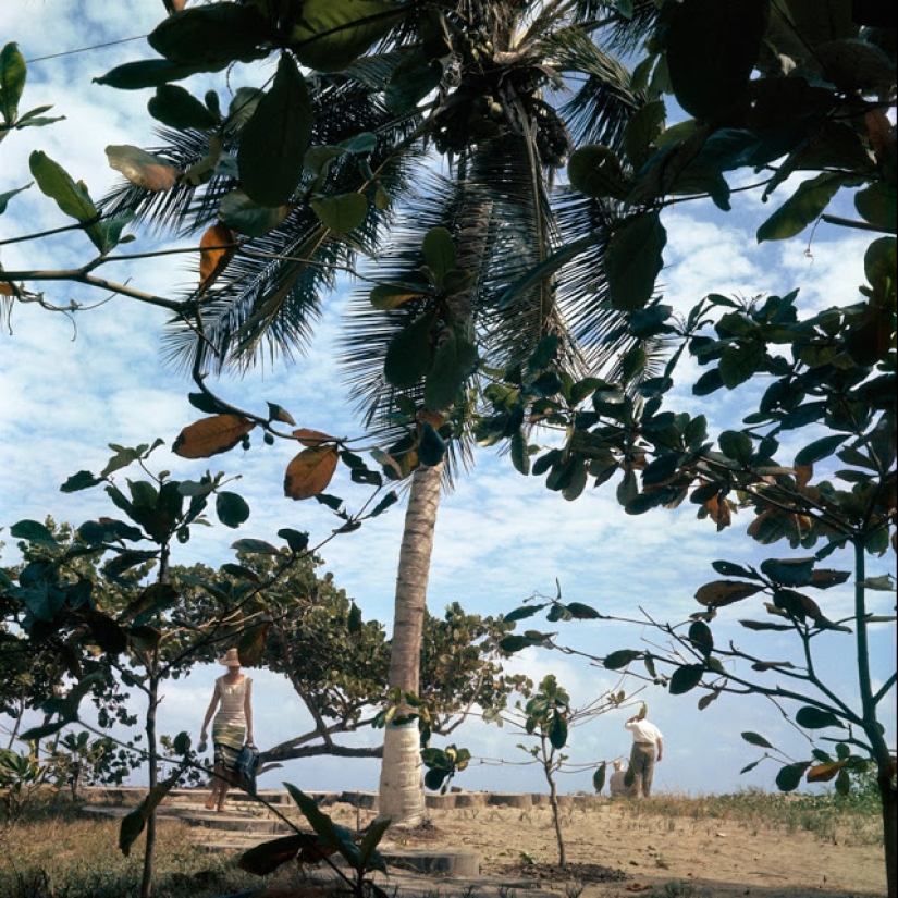 Amazingly vivid retro photographs of Jacques-Henri Lartigue, taken as if yesterday