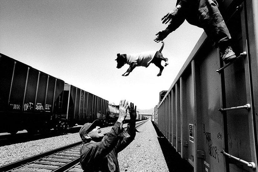 American tramps on freight trains