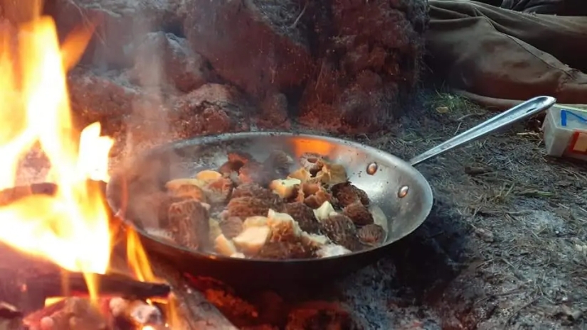 An American woman lives in a tent and eats animals that have been hit by cars.