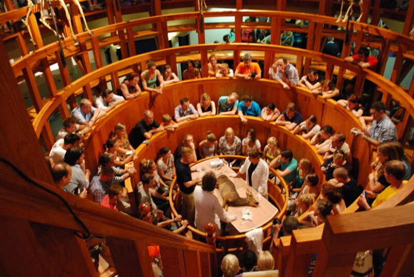 Anatomical theaters: not exactly a performance, but certainly an art