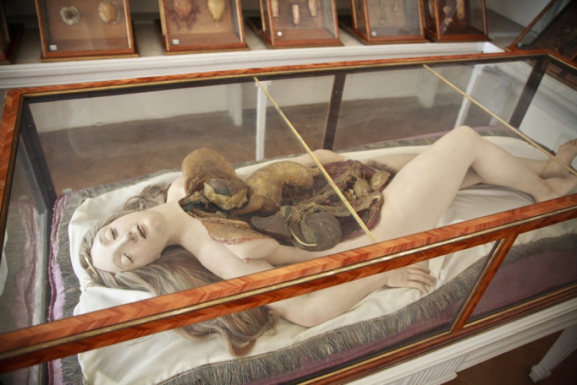 Anatomical Venus, on whom pathologists of the XVIII century studied