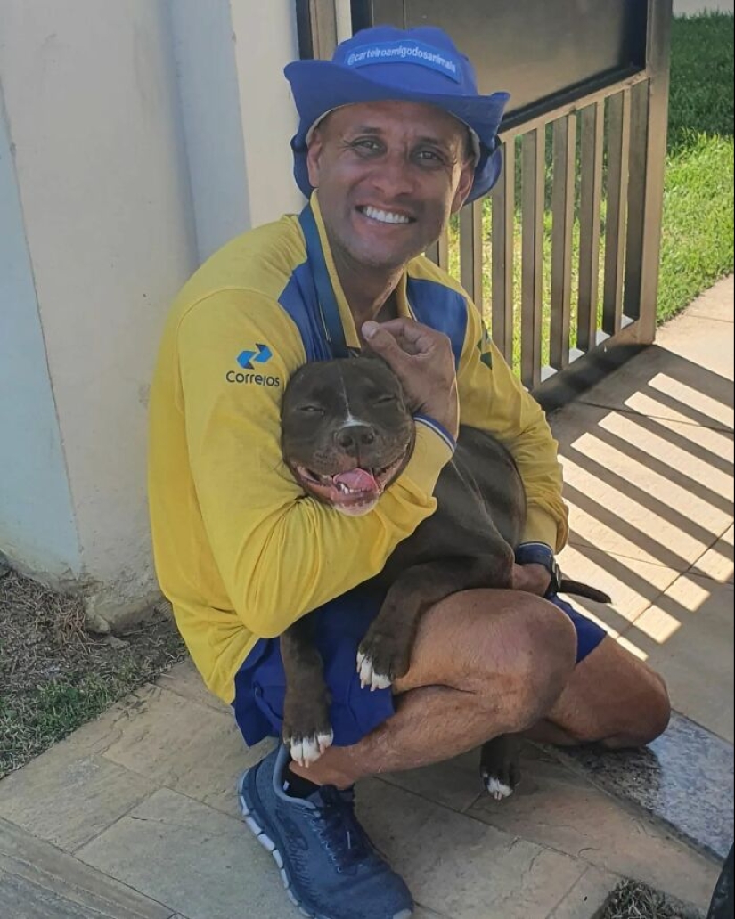 Animal-Friendly Postman: 15 Selfies This Man Took With Every Animal On His Mailing Route