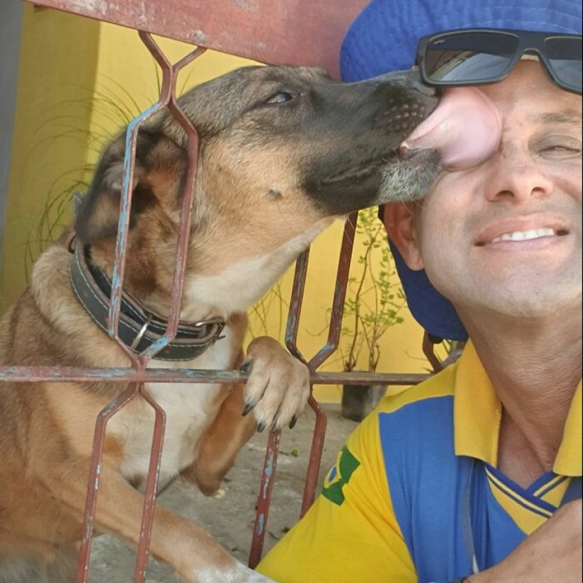 Animal-Friendly Postman: 15 Selfies This Man Took With Every Animal On His Mailing Route