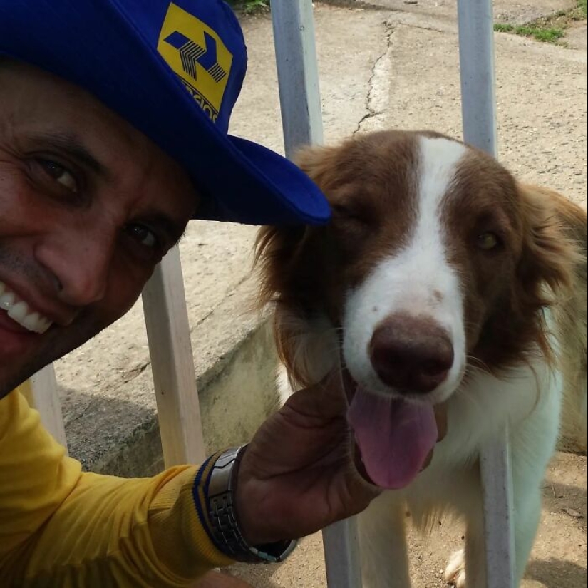 Animal-Friendly Postman: 15 Selfies This Man Took With Every Animal On His Mailing Route