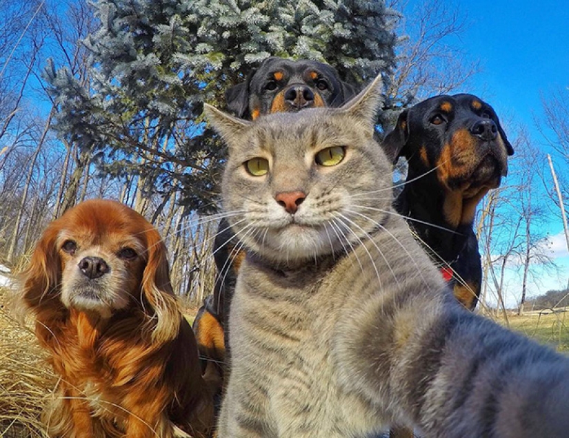 Animales que te enseñarán a tomar selfies