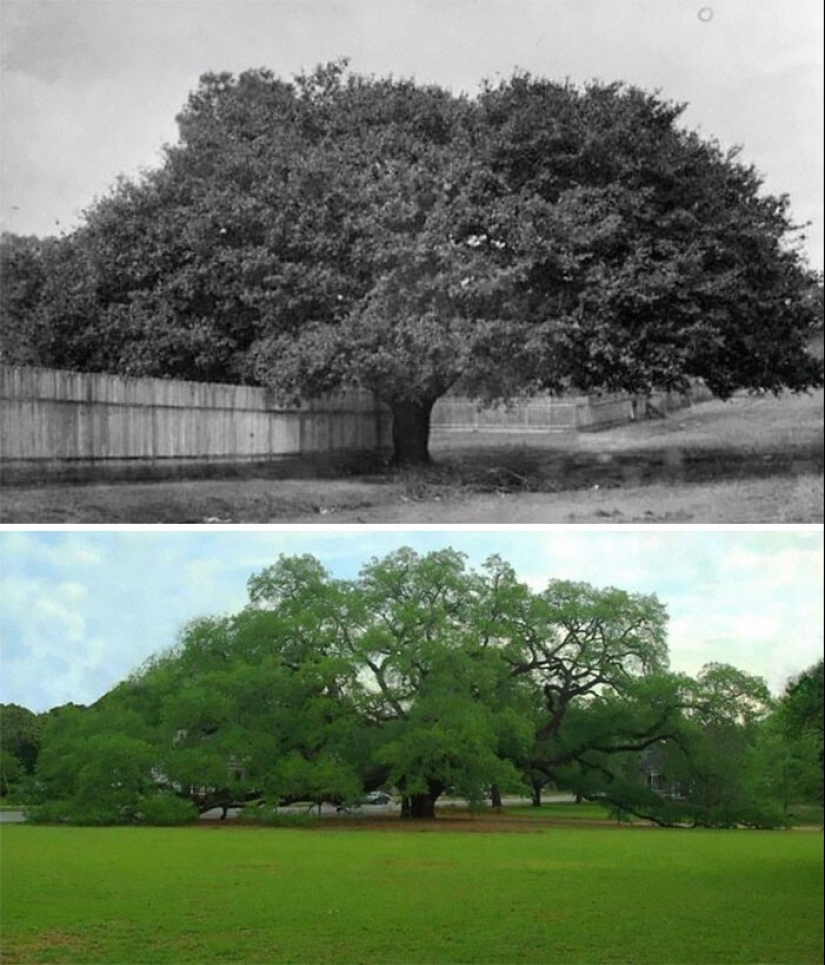 Antes y ahora: 30 comparaciones fotográficas que muestran cómo está cambiando el mundo