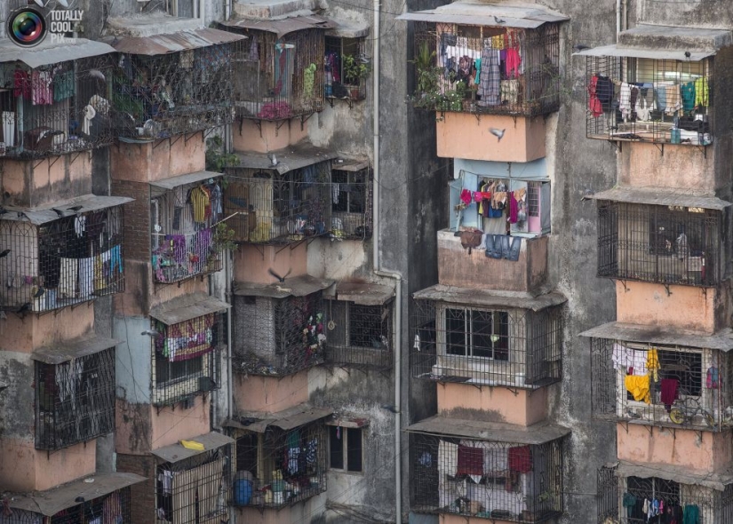 Anthill lives: Residential buildings of Mumbai