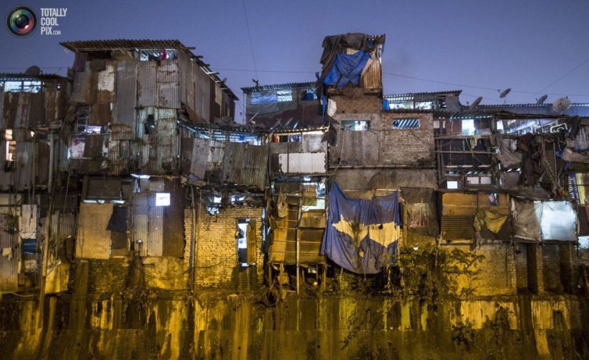 Anthill lives: Residential buildings of Mumbai