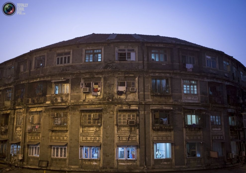 Anthill lives: Residential buildings of Mumbai