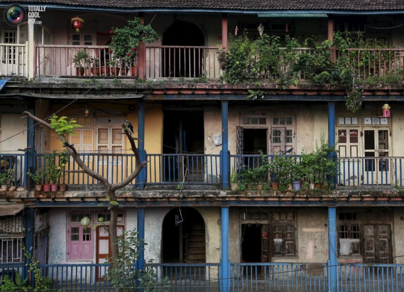 Anthill lives: Residential buildings of Mumbai