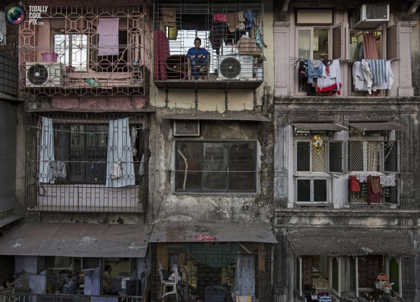 Anthill lives: Residential buildings of Mumbai