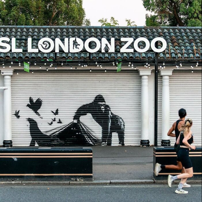 Aquí hay 9 animales salvajes que vagaban por las calles de Londres, cortesía del famoso Banksy