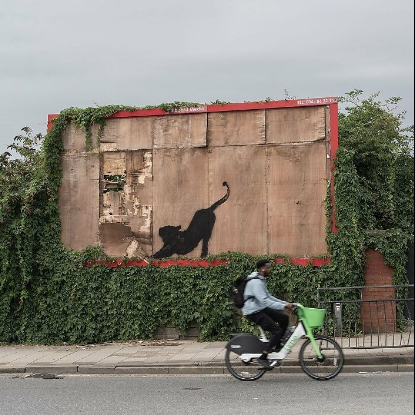 Aquí hay 9 animales salvajes que vagaban por las calles de Londres, cortesía del famoso Banksy