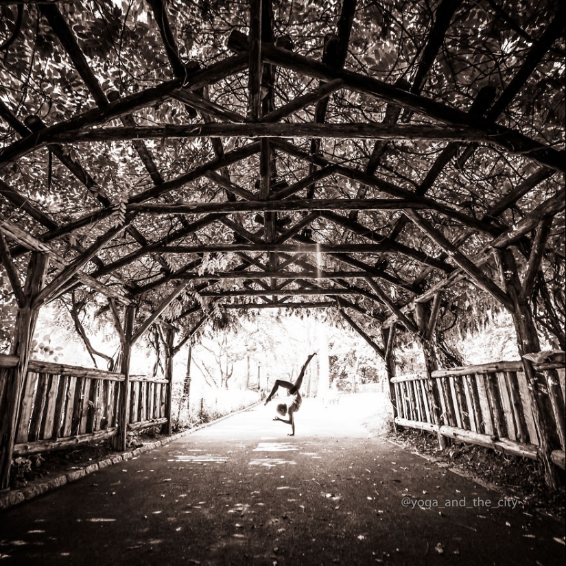 Armonía en el centro de la ciudad: el yoga en una gran ciudad