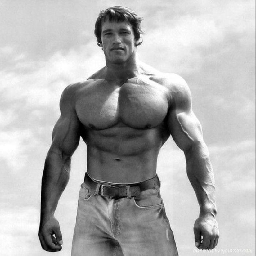 Arnold Schwarzenegger's Success Story