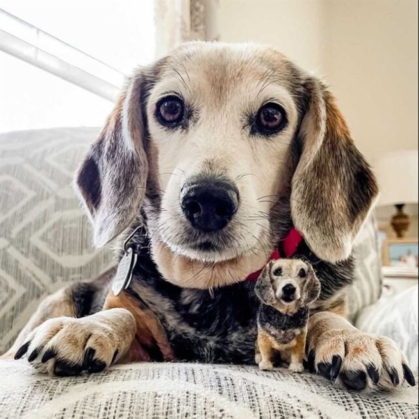 Artist Alison Gurney creates felt mini-replicas of animals