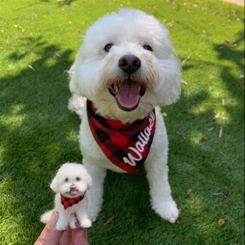 Artist Alison Gurney creates felt mini-replicas of animals