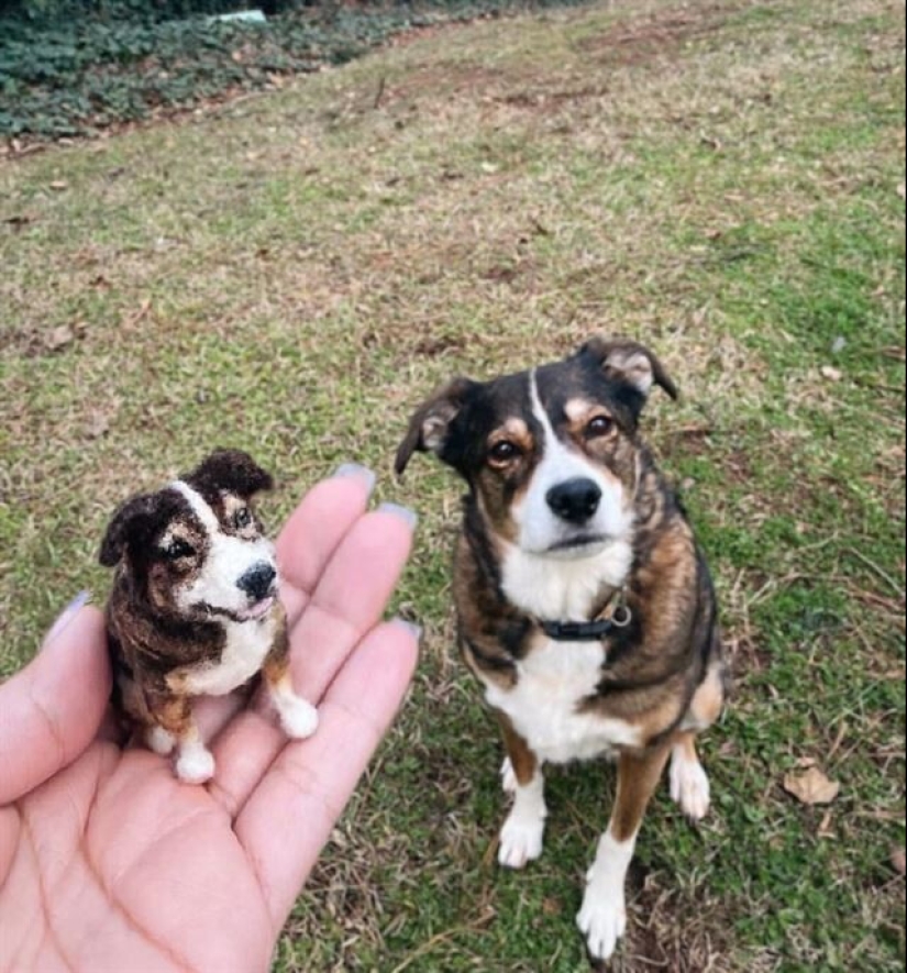 Artist Alison Gurney creates felt mini-replicas of animals