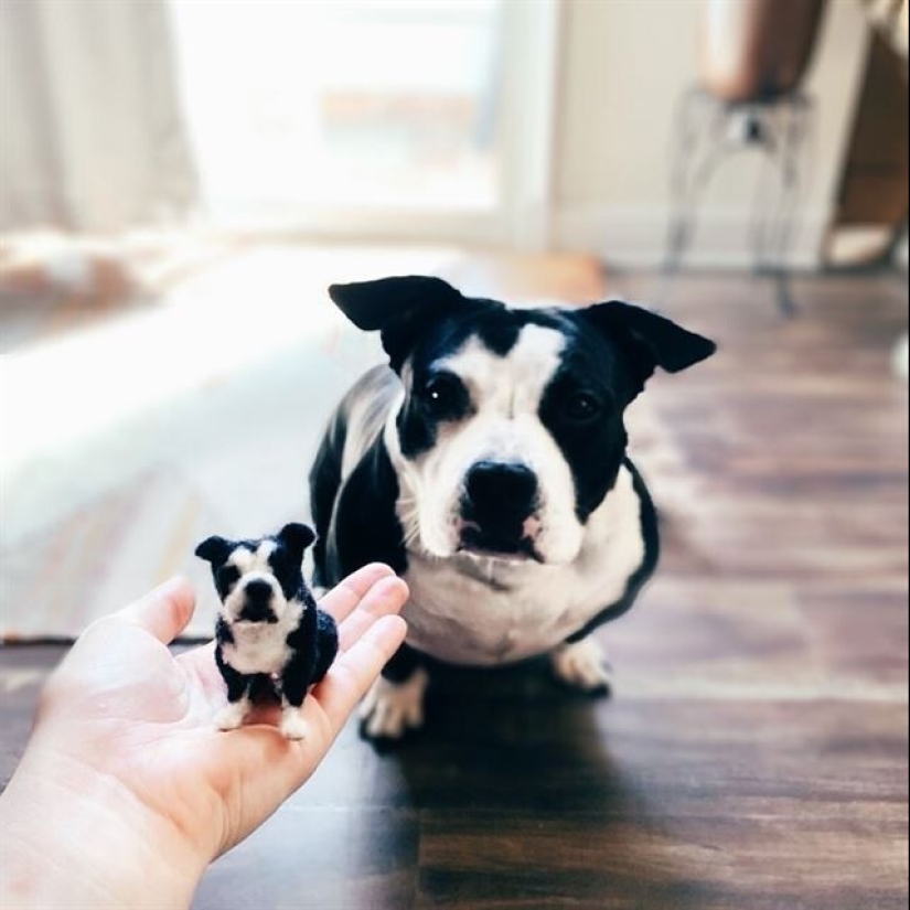 Artist Alison Gurney creates felt mini-replicas of animals