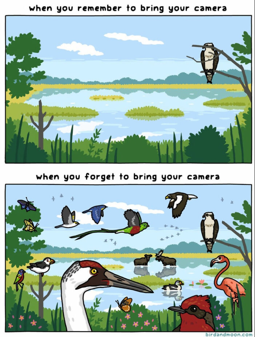 Artist Creates Comics Depicting Humorous Moments In Nature