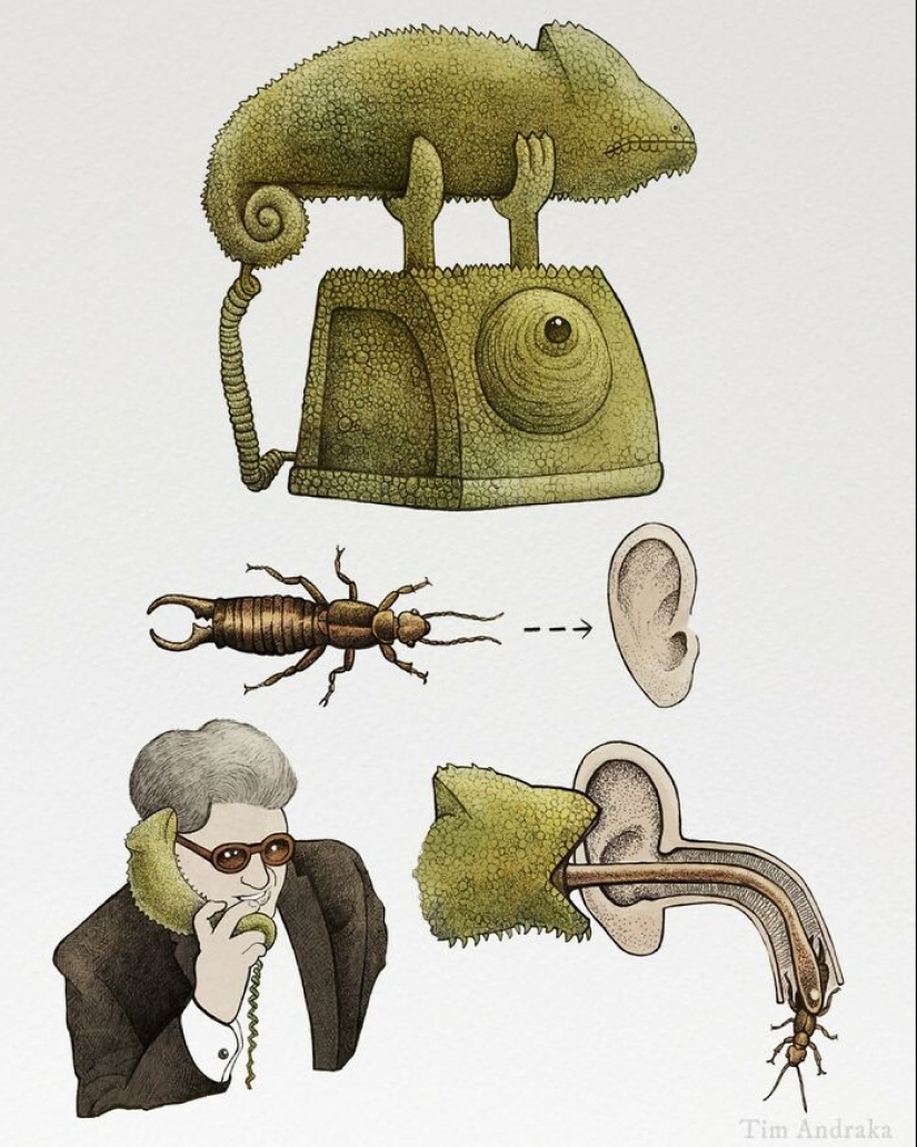 Artist Illustrates Funny-Looking Surreal Animals In A Scientific Encyclopedia Type Of Style