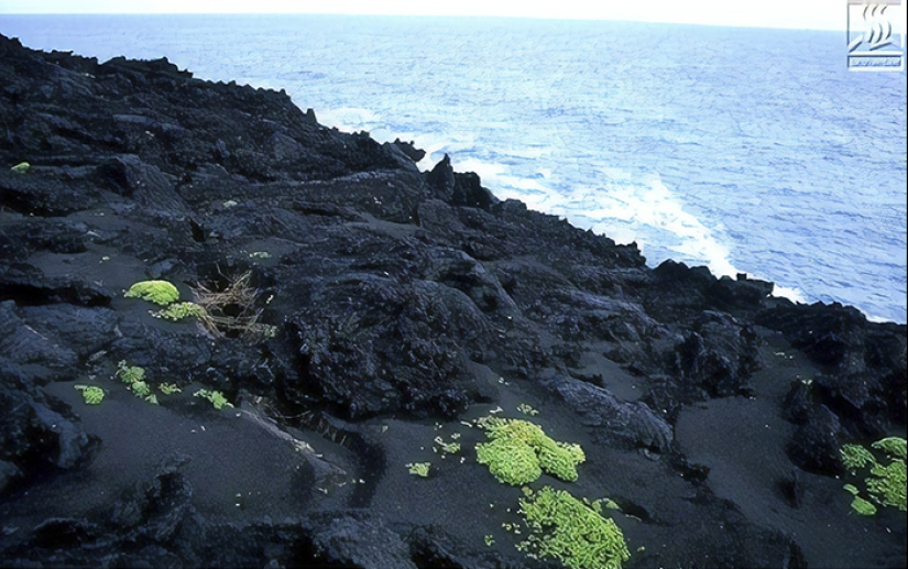 As half a century ago in Iceland created the island and became one of the most forbidden places on the planet