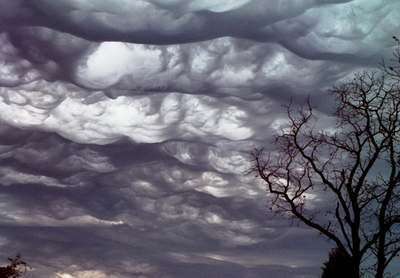 Asperatus - las nubes más aterradoras