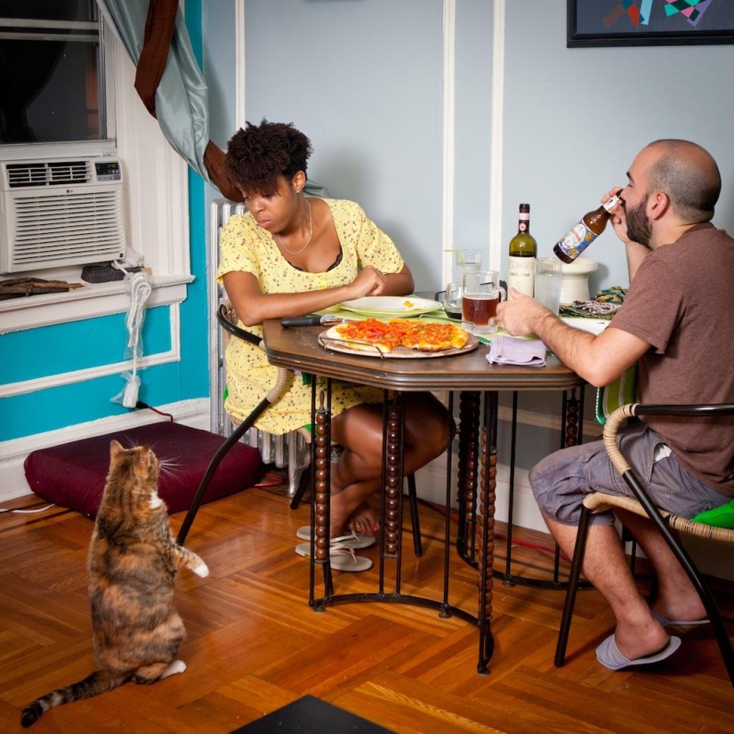 At dinner - how modern New Yorkers consume their food