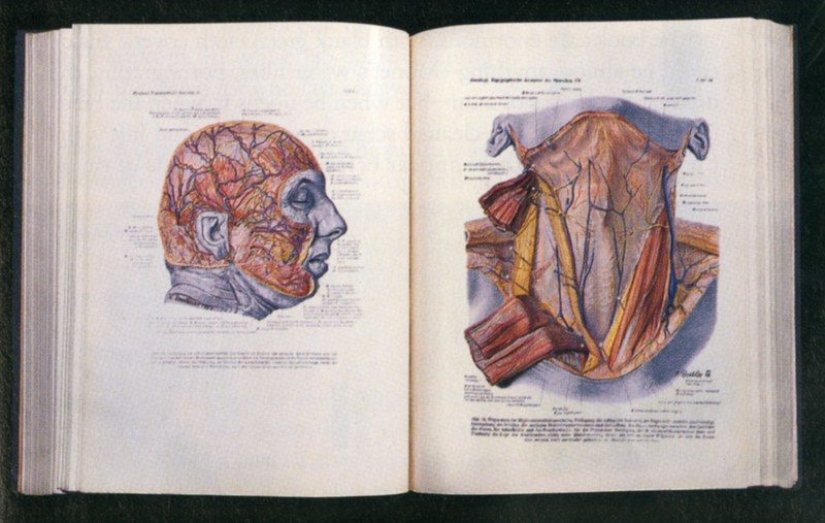 Atlas Diabólico del Profesor Pernkopf