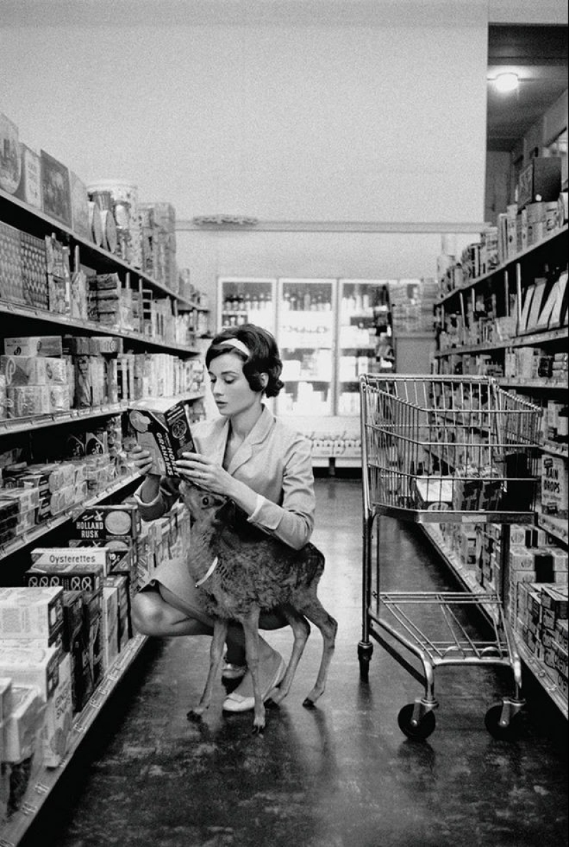 Audrey Hepburn and her fawn named Pippin