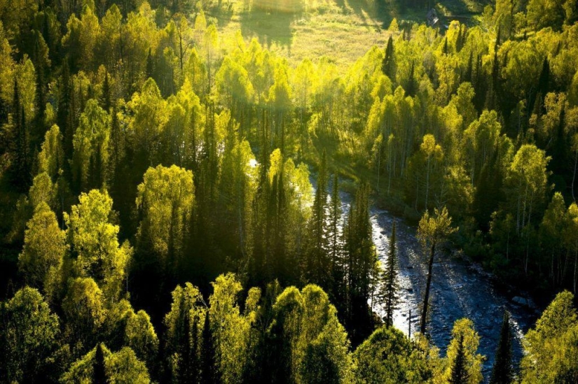 Autumn in the mountains of Kazakhstan from a bird's-eye view