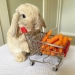 Baby-carrots or How to make money from waste