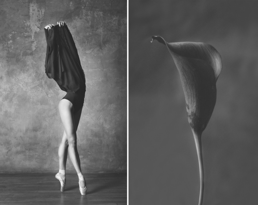 Bailarina y flores: una serie de fotos sobre la similitud de las dos de gracia