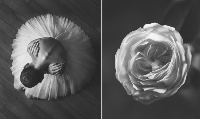 Bailarina y flores: una serie de fotos sobre la similitud de las dos de gracia