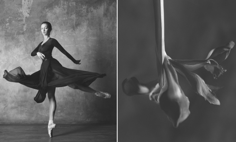 Bailarina y flores: una serie de fotos sobre la similitud de las dos de gracia