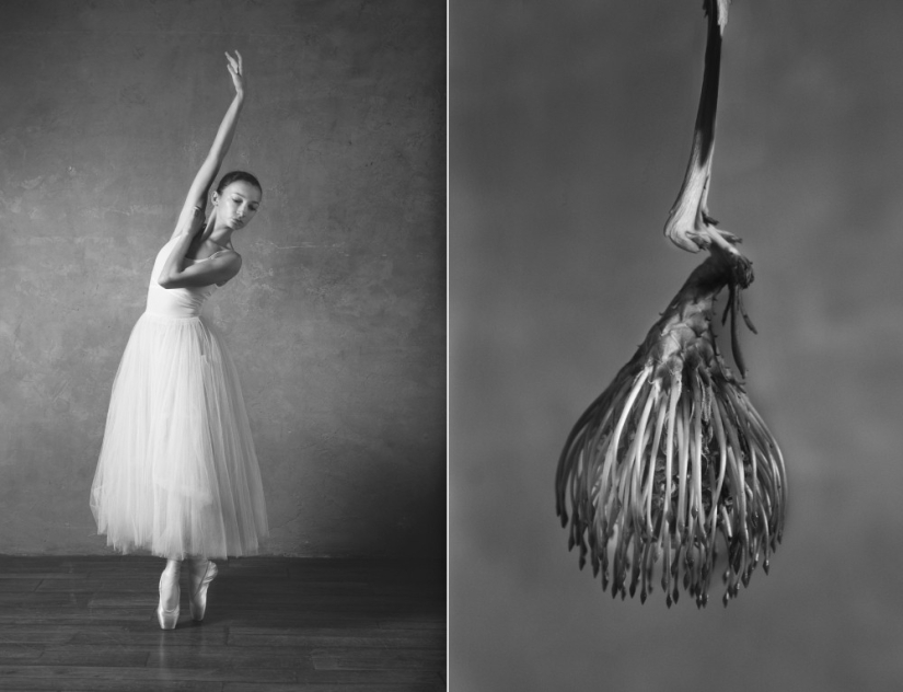 Ballerina and flowers: a photo series about the similarity of the two grace